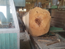 Wood processing and timber cutting services
