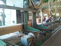 Wood processing and timber cutting services